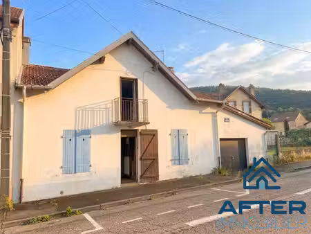 maison avec jardin a renovee