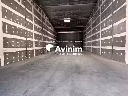 entrepôt 300 m² les abymes