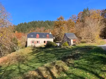 maisons en pierres  sur terrain de + 3 700 m²  dépendance indépendante et grange  à 10 min