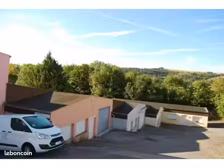 locaux d’activités