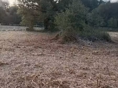 terrain 4000 m2