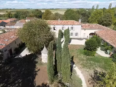 vente maison 16 pièces 600 m² matha (17160)
