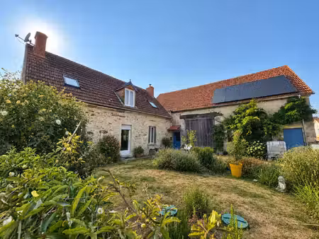 vente maison 7 pièces 250 m² reigny (18270)
