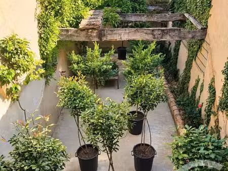 maison à vendre - 7 pièces - 190 m2 - l isle en dodon - 31 - midi-pyrenees