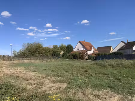 marlenheim  terrain à bâtir de 451m2 - frais de notaire réduits à 2 5%