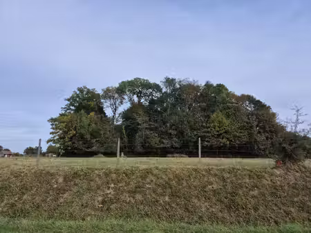 terrain à bâtir