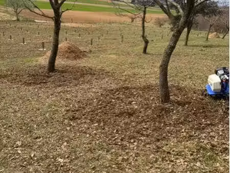 terrain agricole truffière