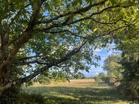 terrain de loisir à vendre.