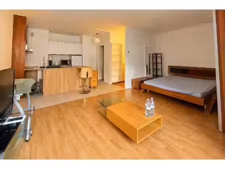 appartement t1/2 à louer paris 13e quartier chinois