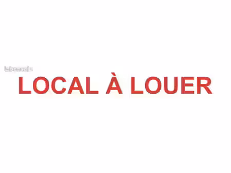 location local professionnel