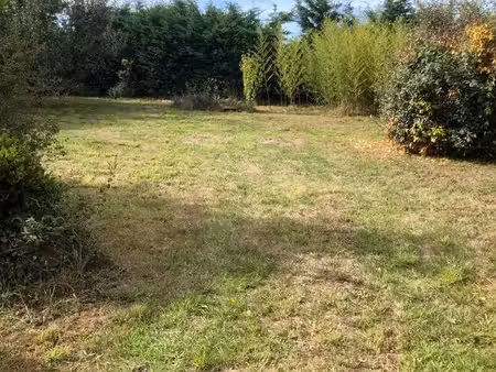 terrain de loisirs