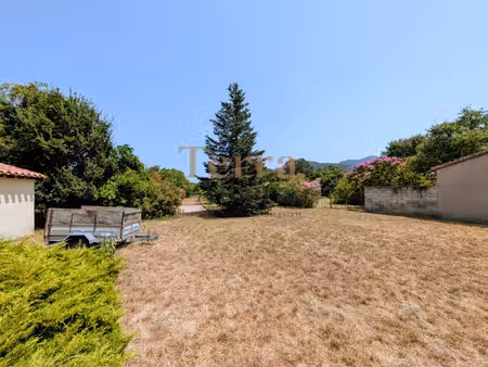 laroque des albères - beau terrain constructible hors lotiss