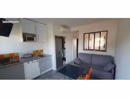appartement rénové er meublé de 2 pièces de 30 m² avec terrasse