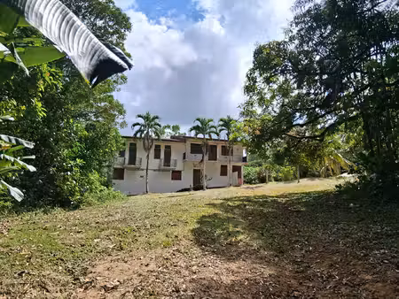 vente immeuble 7 pièces  245.00m²  matoury