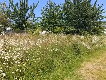 vente terrain viager à pléneuf-val-andré (22370) : à vendre viager / 829m² pléneuf-val-and