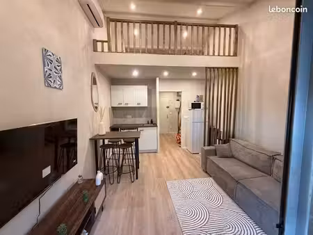 t2 entièrement rénové avec mezzanine et terrasse