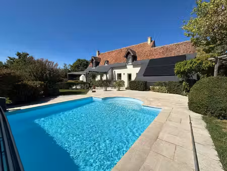 tours limite saint cyr sur loire  propriété exceptionnelle à
