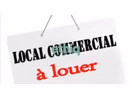 entrepôt professionnel libre