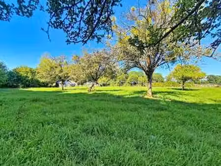 vente terrain à saint-benoît-d'hébertot (14130) : à vendre / 2986m² saint-benoît-d'héberto
