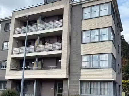 appartement lumineux 3façades spacieux  confort  bien situé