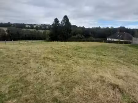vente terrain piscine à saint-georges-des-groseillers (61100) : à vendre piscine / 1688m² 