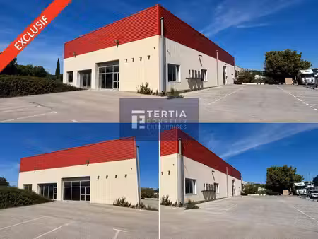 location local d’activités baillargues 34670 1100m²