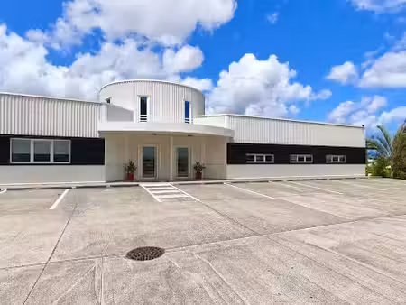 location locaux professionnels 0 pièces 296.87 m² à riviere salee (97215)  8 194 €