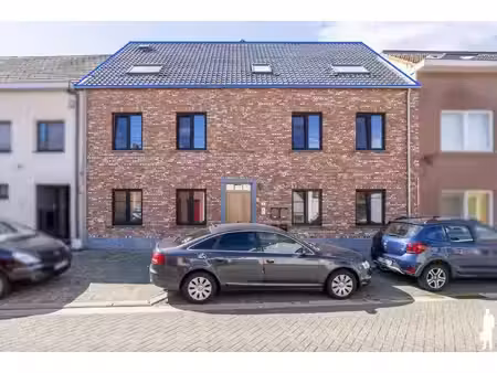 de boer & partners malle