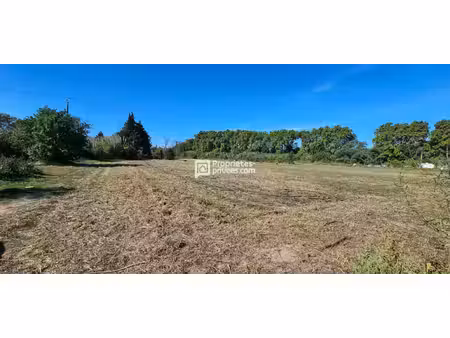 terrain agricole de plus de 9500 m² avec forage et groupe électrogène