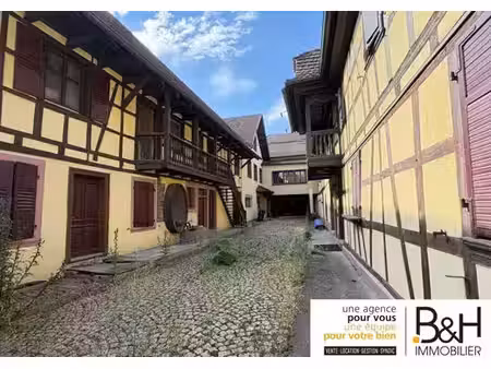 prestigieux immeuble de rapport en vente à ittenheim  grand est
