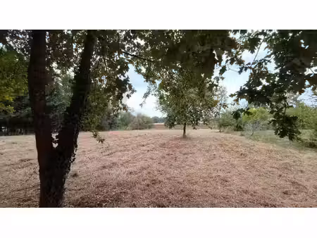 terrain à vendre de 3 620 00 m² le houga (32)