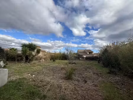 terrain