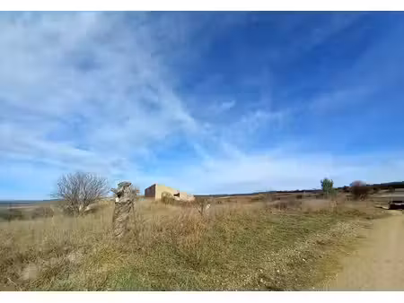 achat terrain 45 000m² caux 34720
