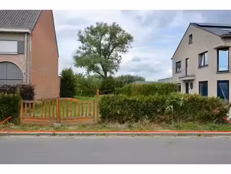 jong en dynamisch team met persoonlijke aanpak