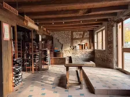 ensemble à molsheim - local commercial - maison - dépendance