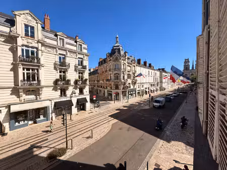 achat local professionnel 146m² orleans 45000
