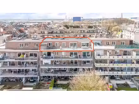 appartement te koop in hoboken met 3 slaapkamers
