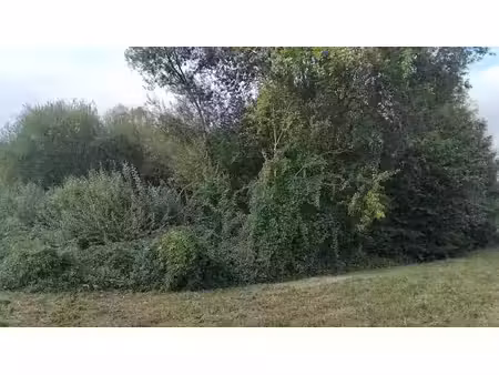 vente terrain 1000 m² à gournay-en-bray (76220)  6 000 €