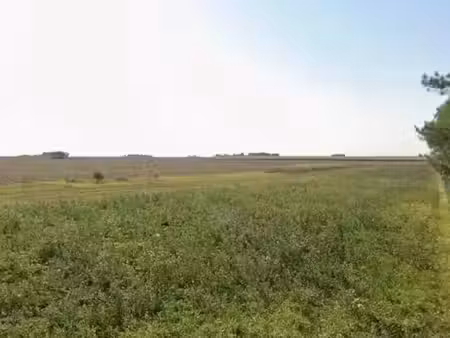 vente terrain à batir 1000 m² à erceville (45480)  45 000 €