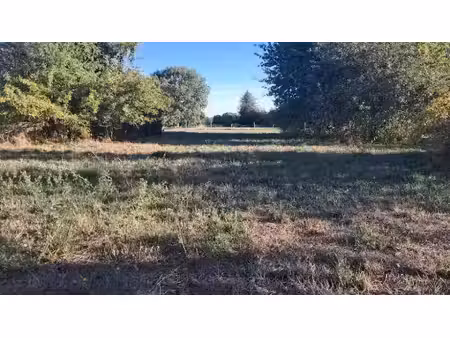 vente terrain 1105 m² à ozillac (17500)  22 000 €