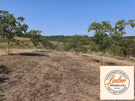 vente terrain à batir 3593 m² à saint-cybranet (24250)  47 000 €
