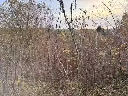 vente terrain 5694 m² à auxi-le-château (62390)  23 500 €