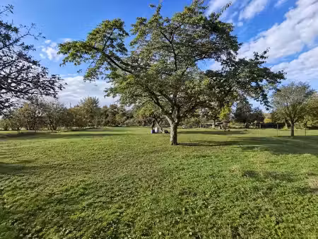 vente terrain 1100 m² à saint-caprais (18400)  24 500 €