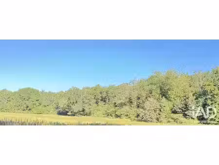 vente terrain 69661 m² moulins-sur-tardoire (16110)
