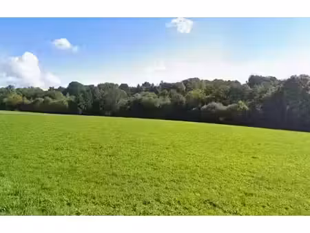 vente terrain 2000 m² à sadroc (19270)  32 000 €