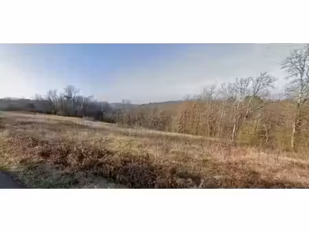vente terrain 1500 m² à vitrac (24200)  30 000 €