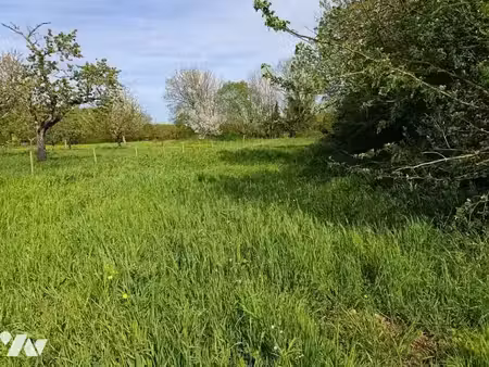 vente terrain 1047 m² à fors (79230)  38 700 €