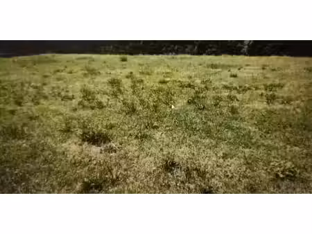 vente terrain 1103 m² à mandeville (27370)  38 000 €