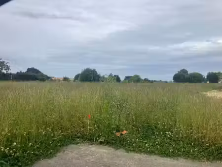 vente terrain 800 m² à casteljaloux (47700)  40 000 €