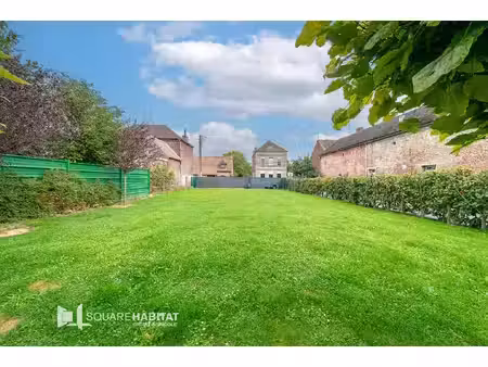 terrain